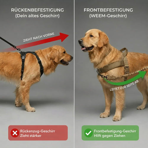 No-Pull Dog Harness
