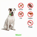 Weem™ Tick Protection