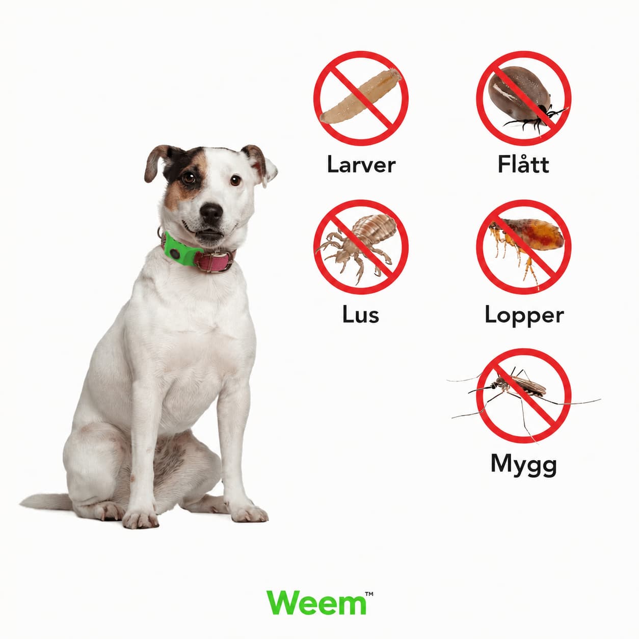 Weem™ Tick Protection