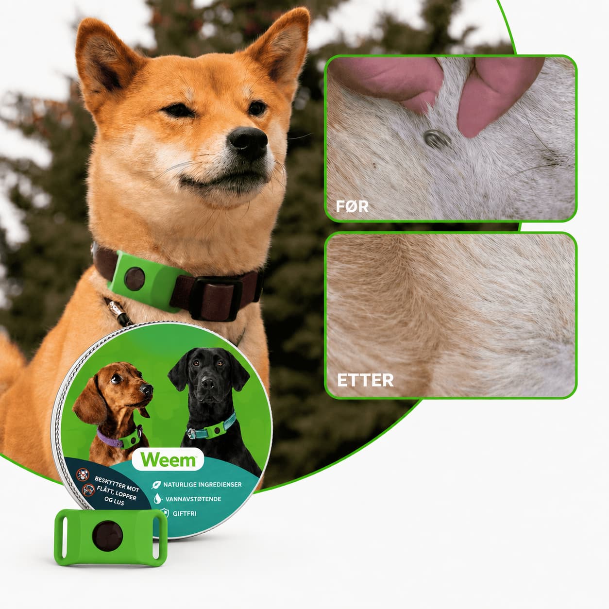Weem™ Tick Protection