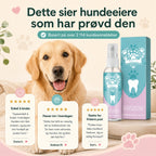 Dental care spray for dogs