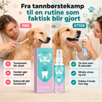 Dental care spray for dogs