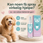 Dental care spray for dogs