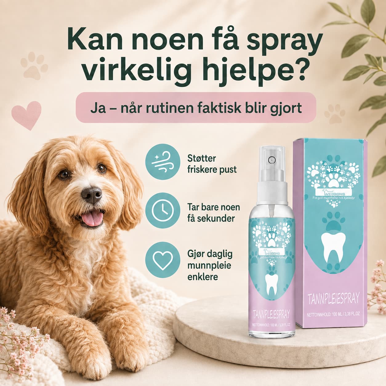 Dental care spray for dogs