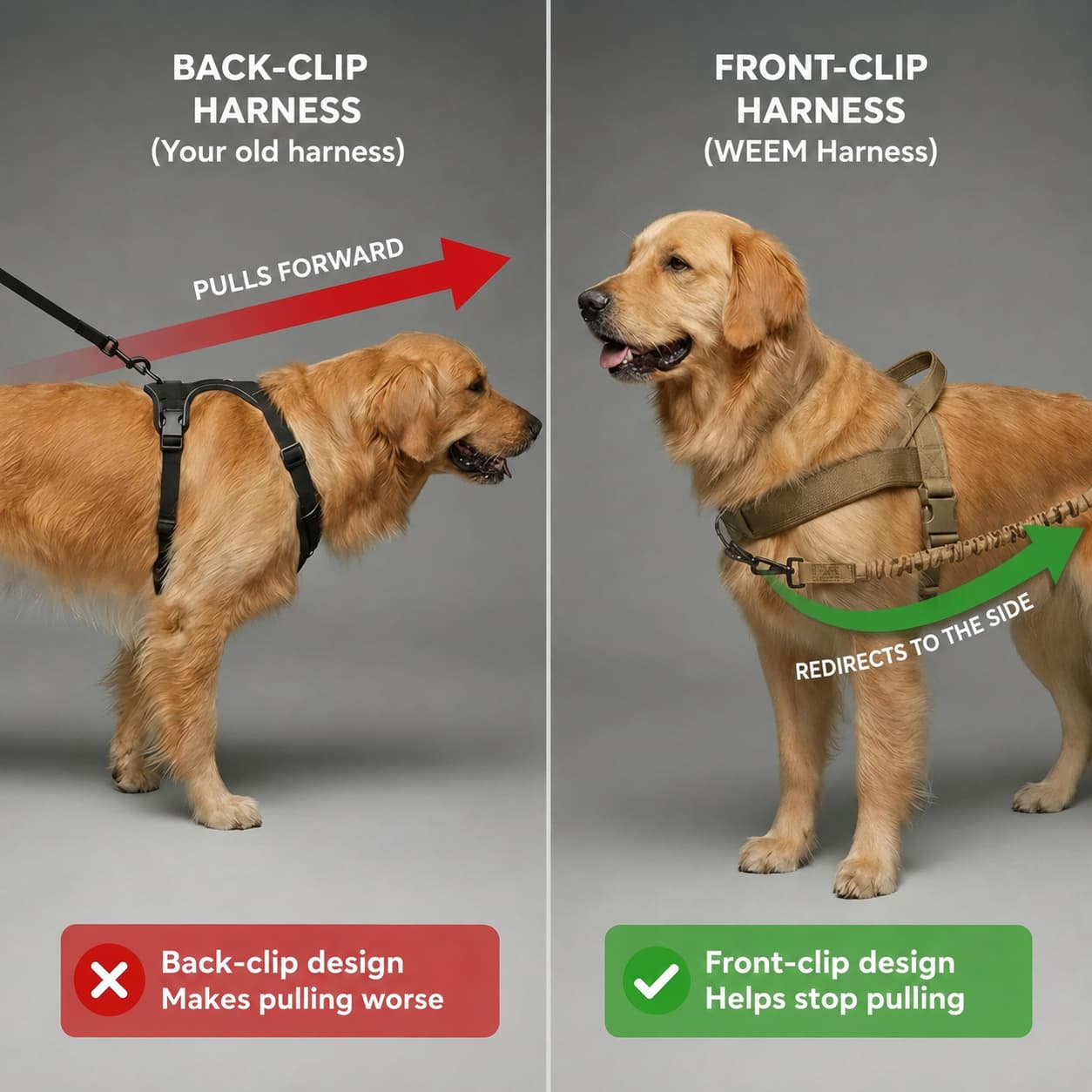 WEEM – Front-Clip Harness