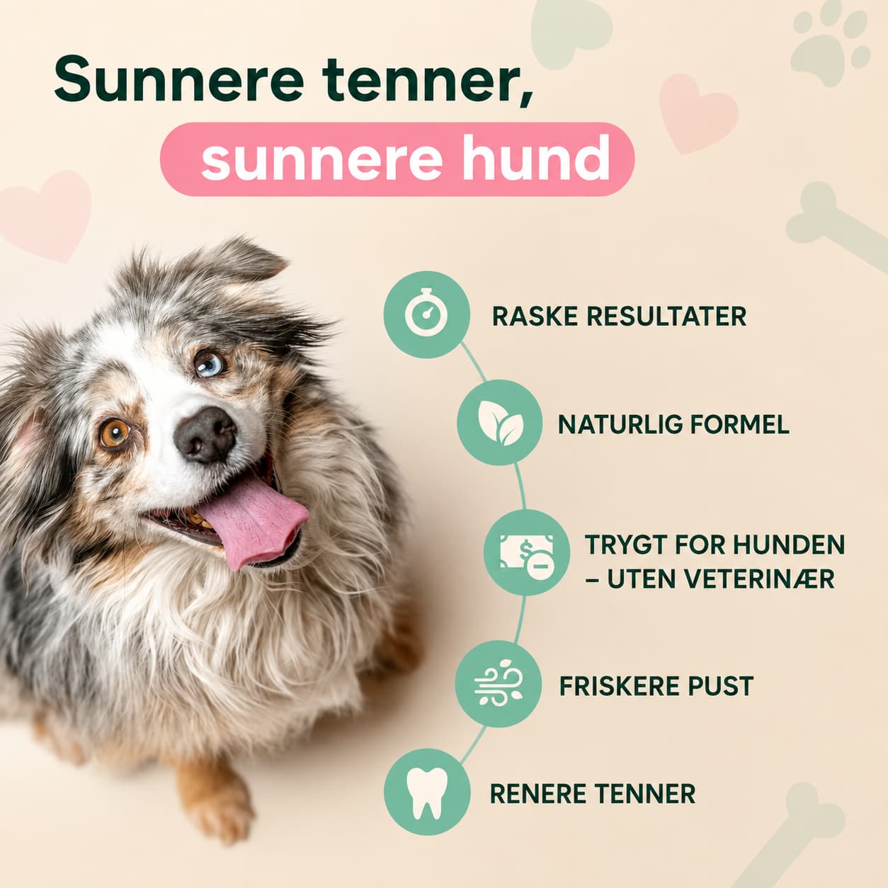 Dental care spray for dogs