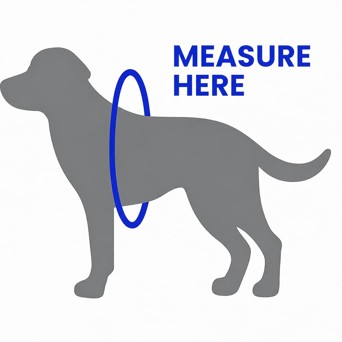 Måleguide