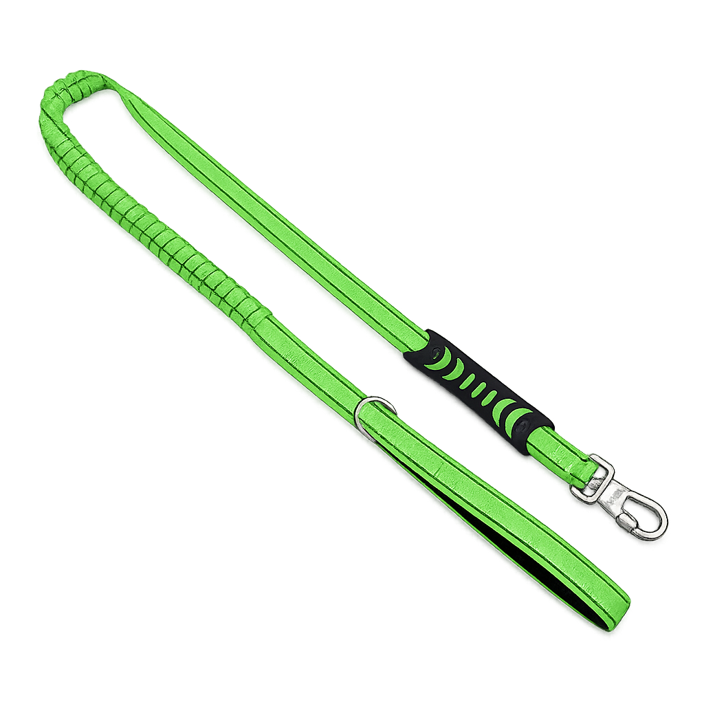 Matching Shock Absorbing Leash