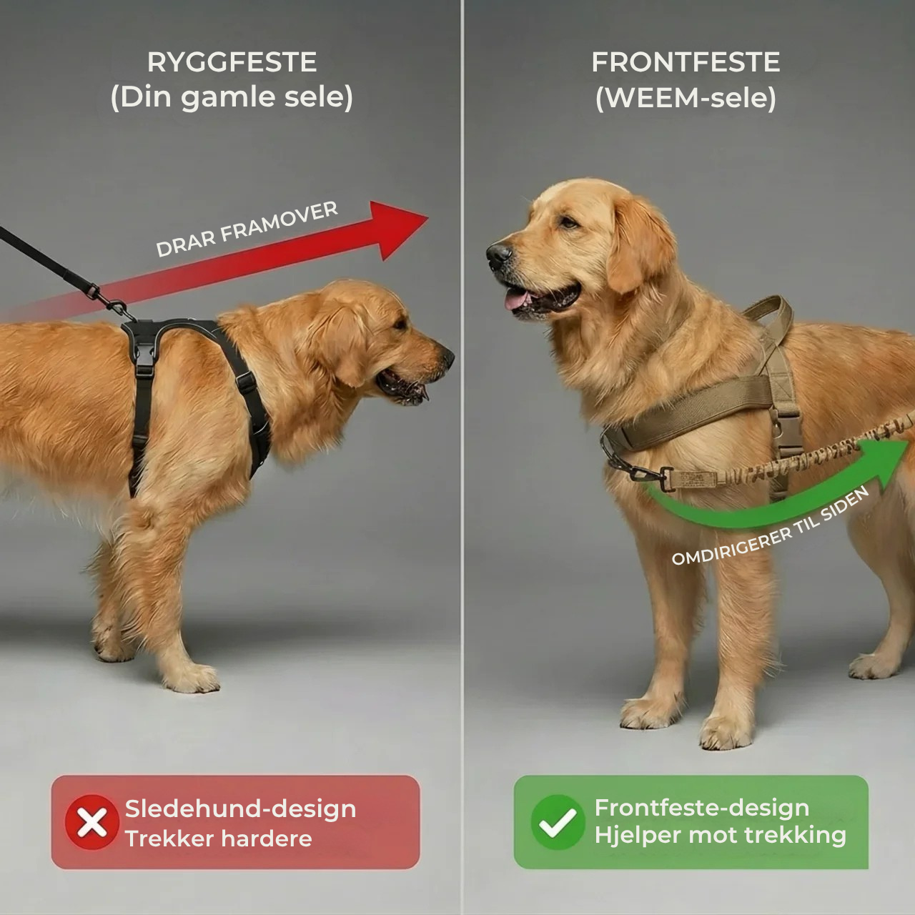 No-pull dog harness