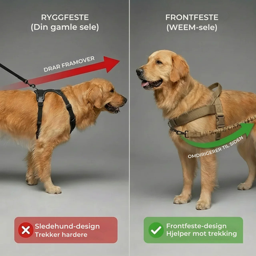 No-pull dog harness