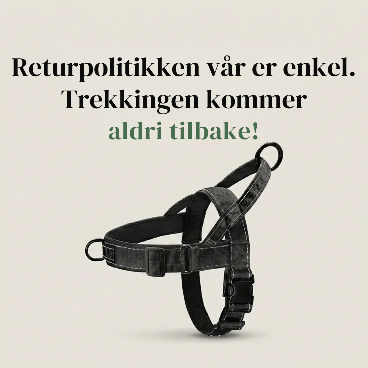 No-pull dog harness