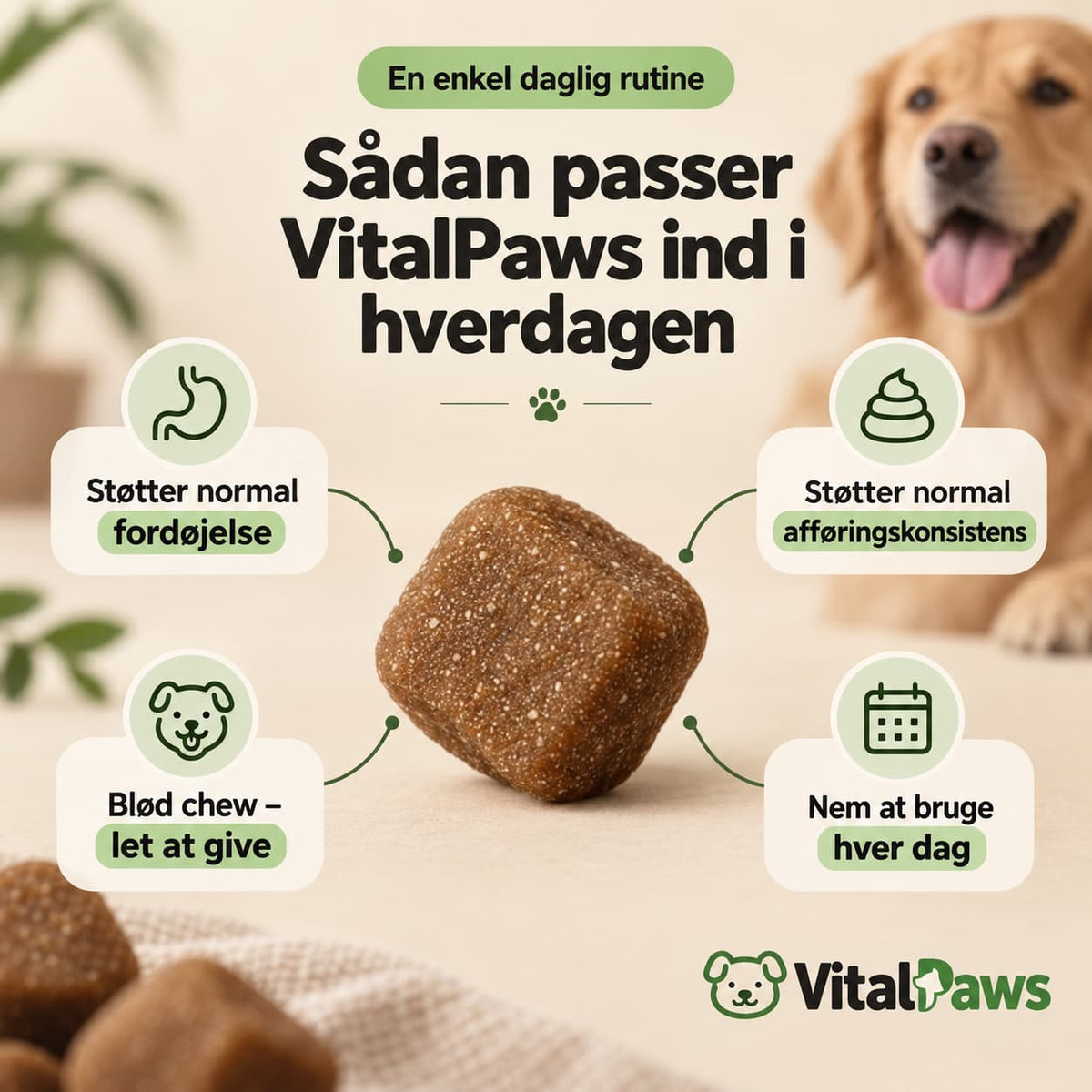 VitalPaws - MaveBalance