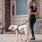 WEEM – Front-Clip Harness