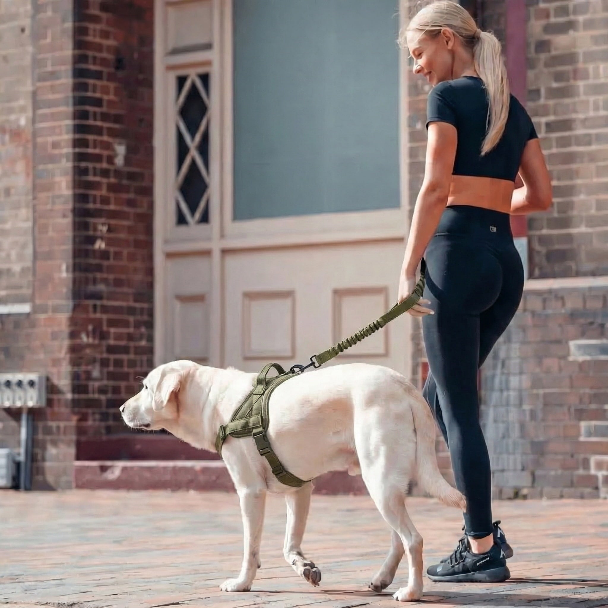 WEEM – Front-Clip Harness
