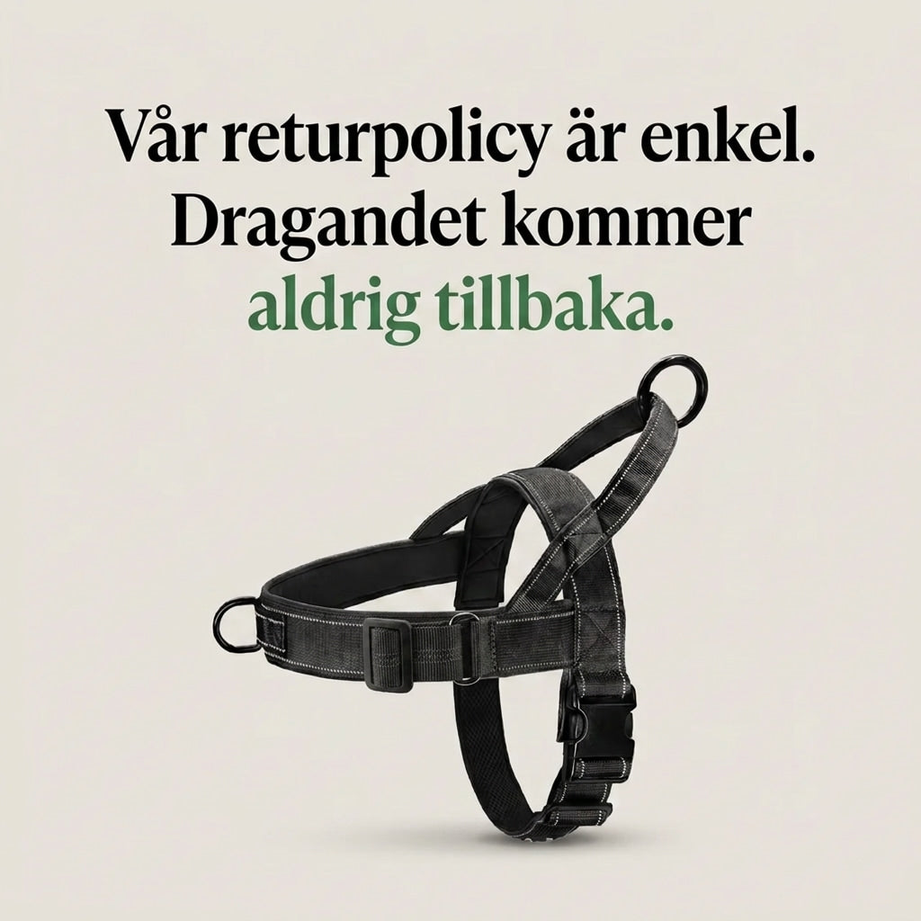 Anti-Pull Dog Harness