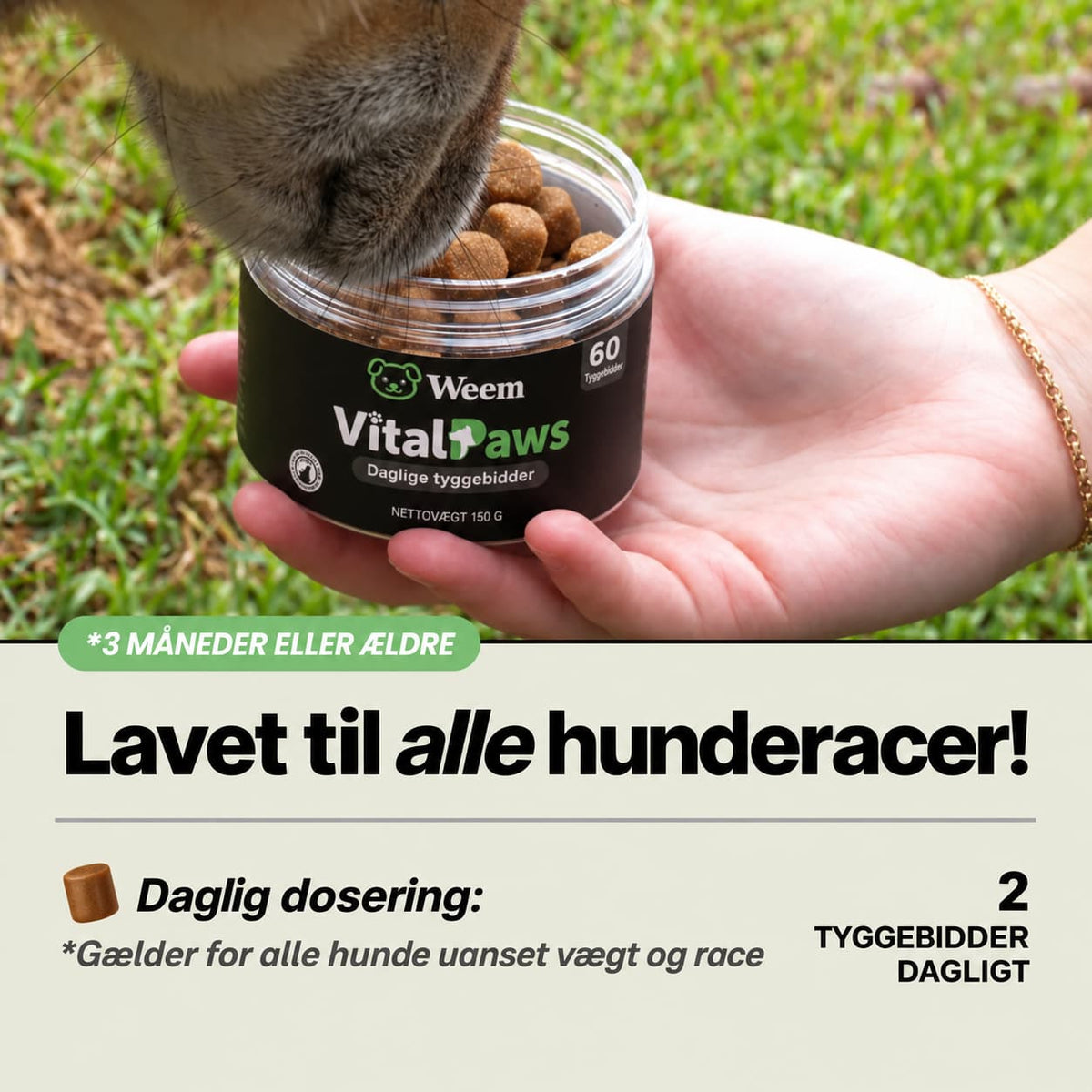 VitalPaws - MaveBalance