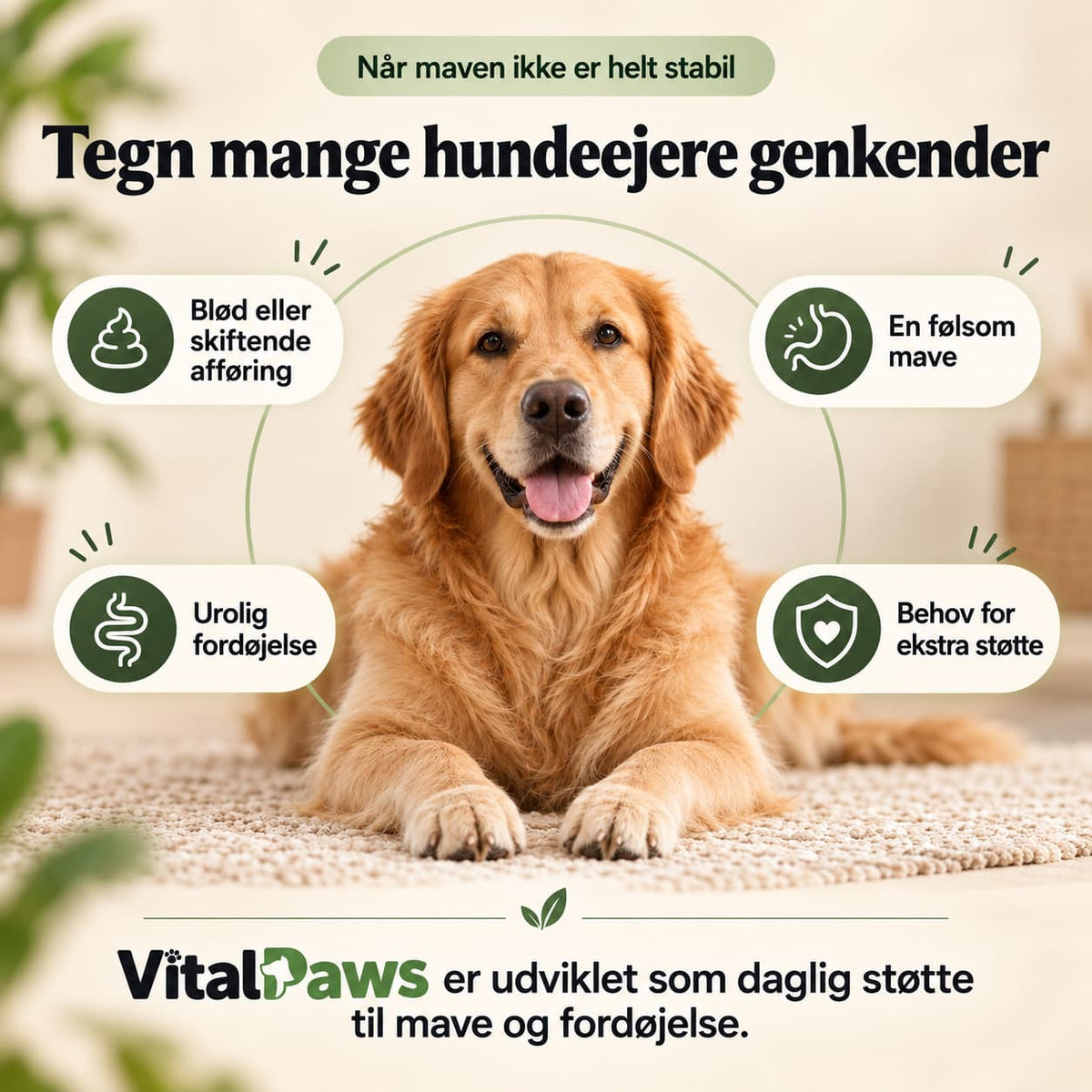 VitalPaws – Daglig Mavestøtte