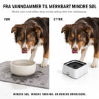 WEEM - Anti-Splash Water Bowl