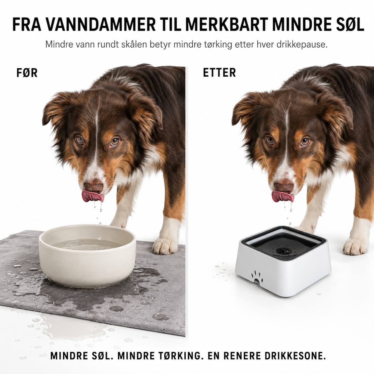 WEEM - Anti-Splash Water Bowl