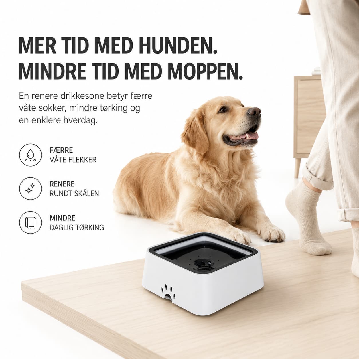 WEEM - Anti-Splash Water Bowl