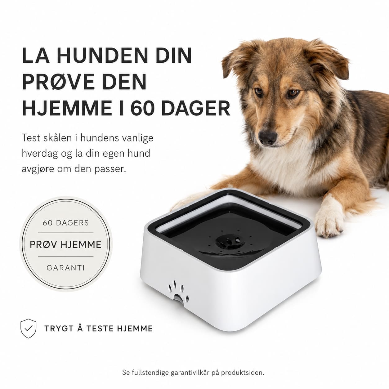 WEEM - Anti-Splash Water Bowl